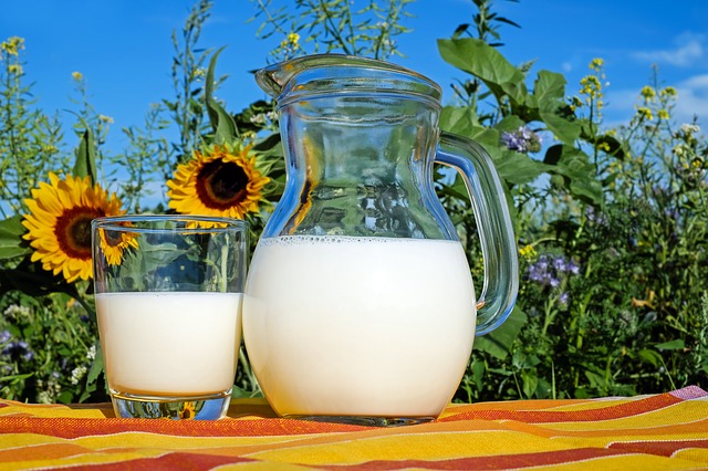 Alergia na mleko krowie czy nietolerancja laktozy?